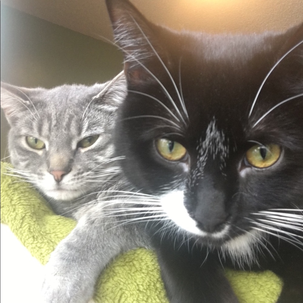 Meet your Posher, Andres